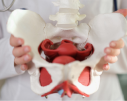 Bekkenfysiotherapie: wanneer is het zinvol?